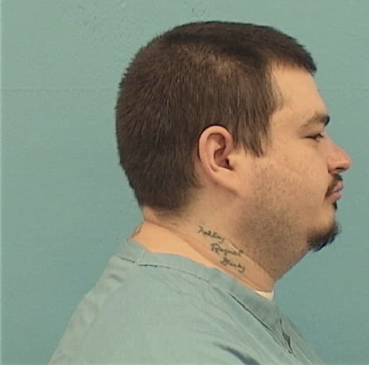 HOLLENBACK, FRANK L. IV, Madison County  IL