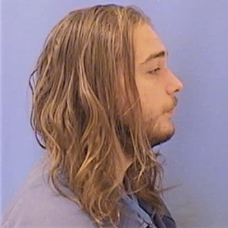DIMOCK, JAMES, Will County  IL