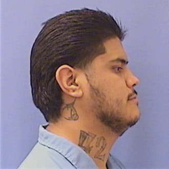 DEALBA, PETER C., Saline County  IL