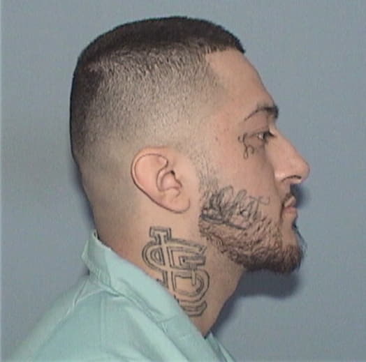 HERNANDEZ, GIOVANNI, Cook County  IL