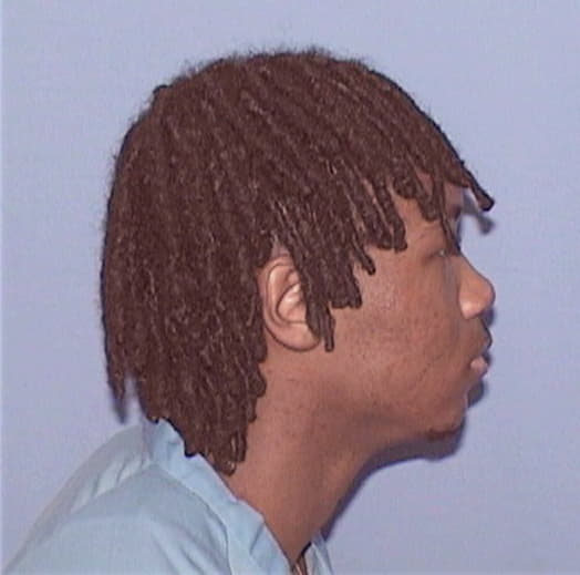 HARMON, LADELL A., Cook County  IL