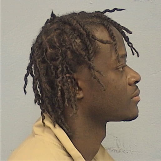 HAYES, SYLVESTER, Cook County  IL