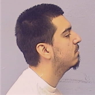 VERA-HERNANDEZ, MICHAEL, Cook County  IL