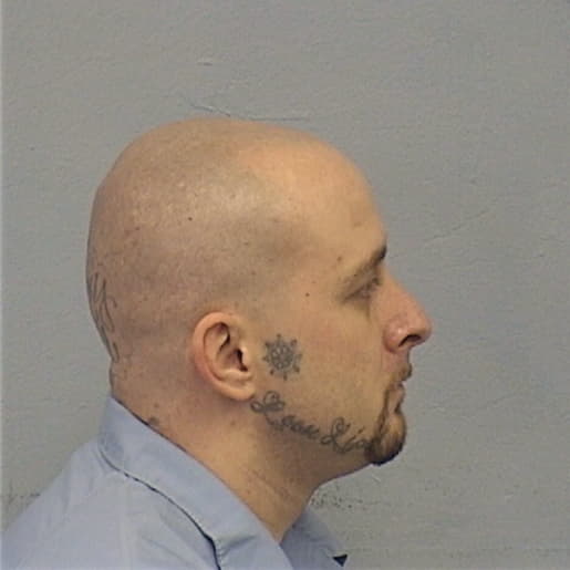 DAVIDSON, THOMAS M., White County  IL