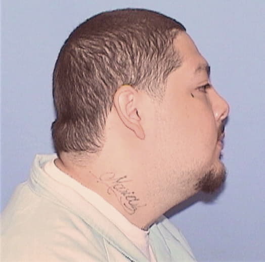 SALINAS, DAVID, Cook County  IL