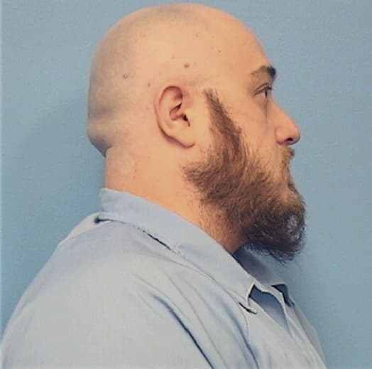 DAVIS, TIMOTHY W., Vermilion County  IL