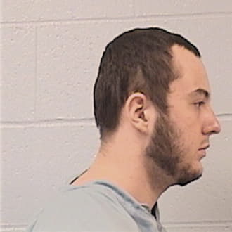 WILLIAMS, DALTON G., Saline County  IL