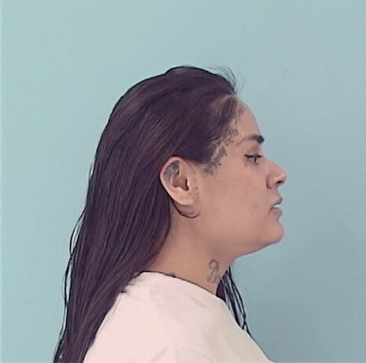 VILLEGAS, CARINA, Cook County  IL