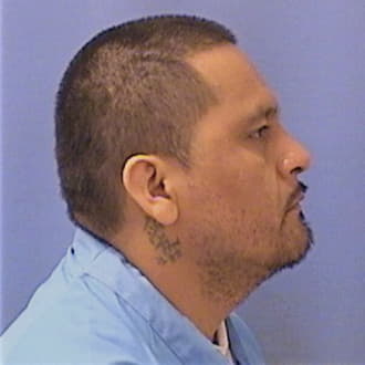 JUAREZ-FLORES, JOSUE, Cook County  IL