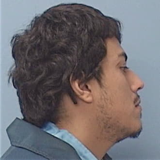 HERNANDEZ MERCA, ALEX, Cook County  IL