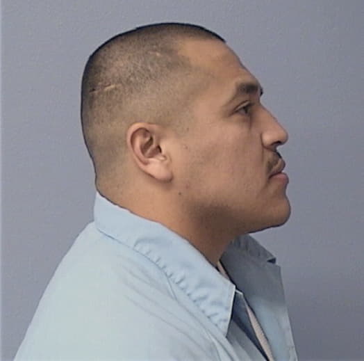 PALMA, ARTURO, Cook County  IL