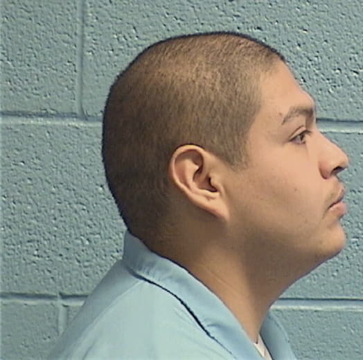 PEREZ, LIZANDRO, McLean County  IL