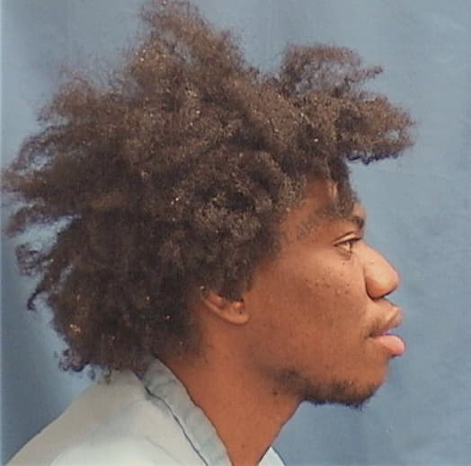 BREWER, DARRELL, Cook County  IL