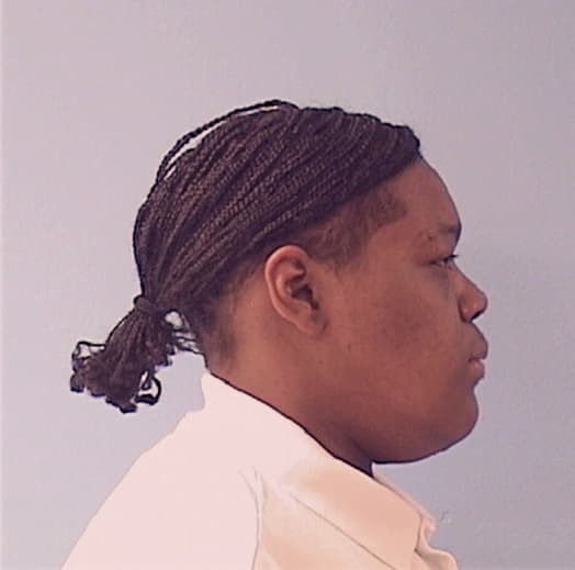 JONES, VALEISA C., Winnebago County  IL