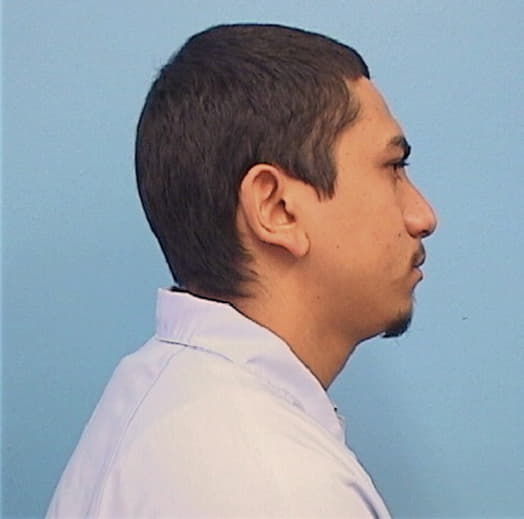 RAMOS-REYES, JUAN, McHenry County  IL
