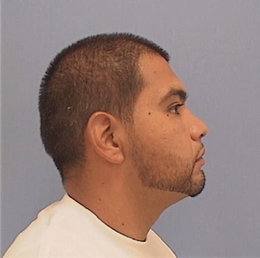 ALMANZA, OCTAVIO, Cook County  IL