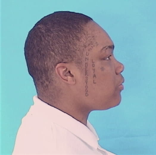 THOMPSON, ANTYNEISHA, Cook County  IL
