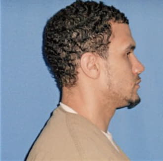 STEWART, ALEXANDER Q., Will County  IL