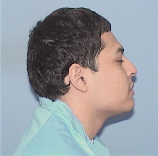 GUTIERREZ-HILDALGO, DANIEL, Henry County  IL
