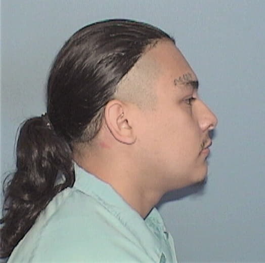 LICEA-GUERRERO, ARMANDO, Cook County  IL