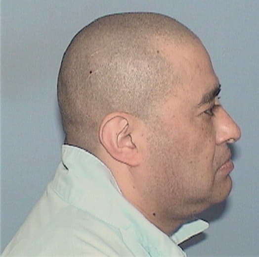 ALVARADO, SALVADOR, DuPage County  IL