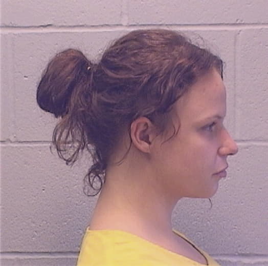 ELLIS, MORGAN R., Stephenson County  IL