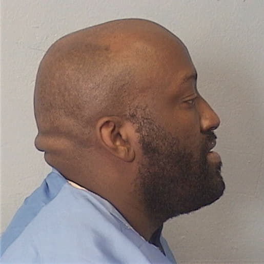 ANDERSON, TERRY, Cook County  IL