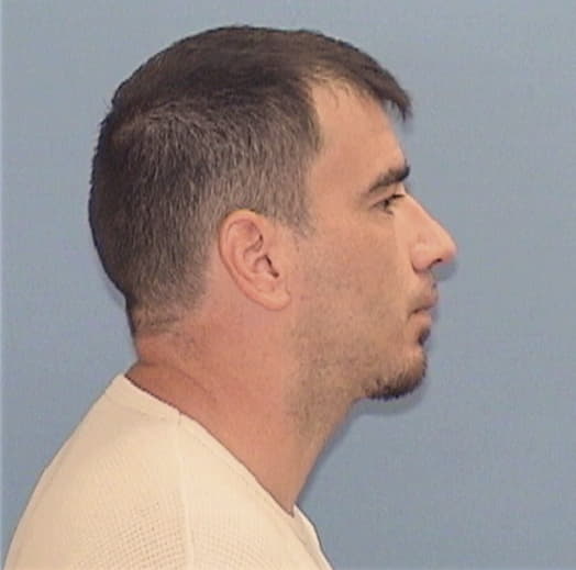 HEDDEN, MICHAEL J. JR., Macoupin County  IL