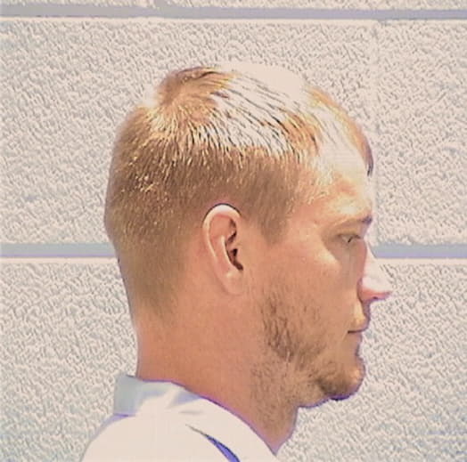 WILSON, BRIAN A., Montgomery County  IL