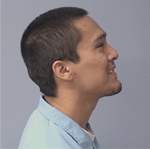 NAVAREZ, MARIO, Kane County  IL