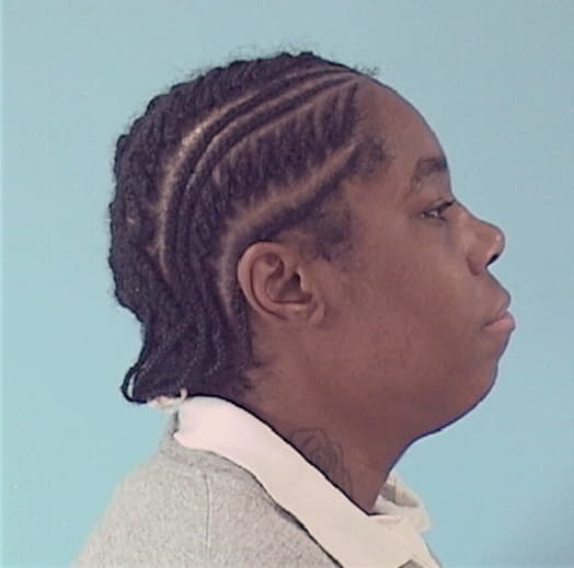 DOLLARSON, VICTORIA, Cook County  IL