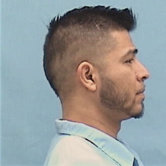 GALLEGOS ORTIZ, ANGEL, Kane County  IL