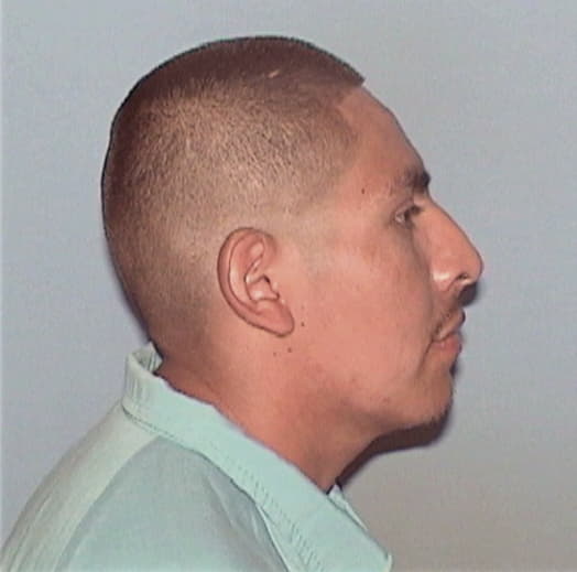 VASQUEZ-AVILA, LEONARDO, Cook County  IL