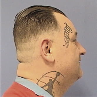 HANSHAW, DARRELL E. JR, Sangamon County  IL
