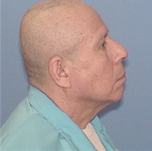 HERNANDEZ-REYES, ARTURO, Cook County  IL