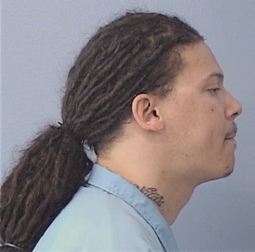 WHITE, DOMINIC, Lee County  IL
