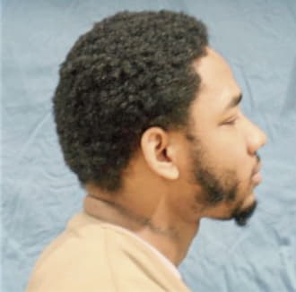 WILLIAMS, LAMAR, Cook County  IL