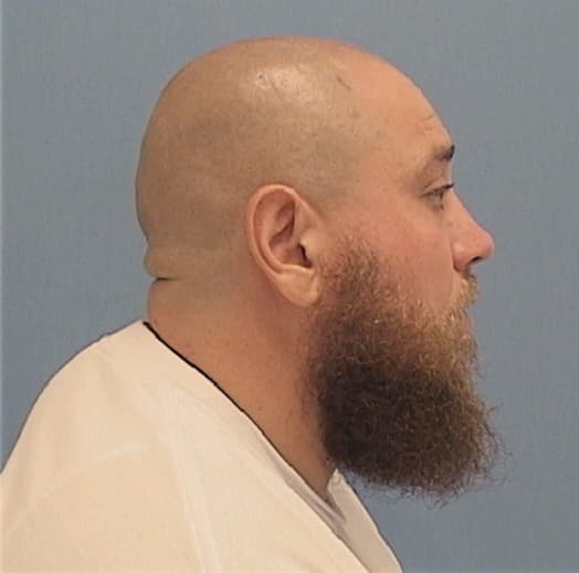 MAYS, DAVID A., Lasalle County  IL