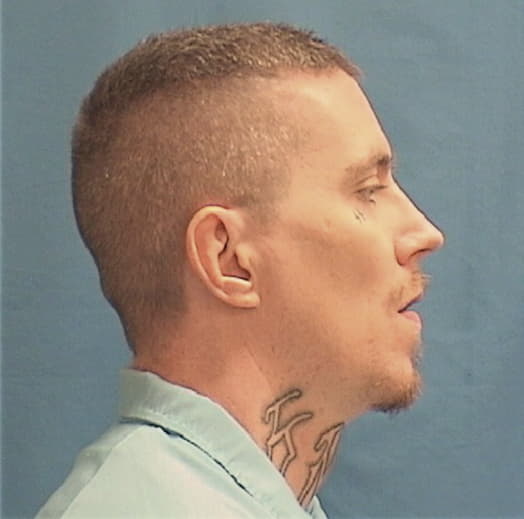 WARD, DAMIEN, Winnebago County  IL