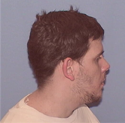 PITTNER, AARON E., McHenry County  IL