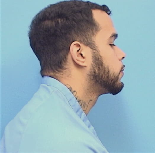 WARD, NICHOLAS J., Will County  IL