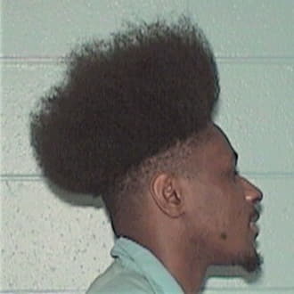 WILLIAMS-WROTEN, ABLE T., Lake County  IL