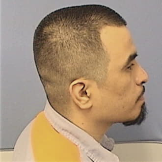 SALAS, GABRIEL JR, Lake County  IL