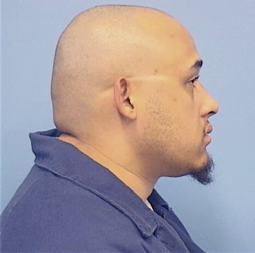 BIERMAN, JORDAN, Sangamon County  IL