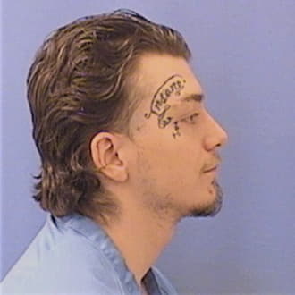 BOATRIGHT, ANDREW, Kane County  IL