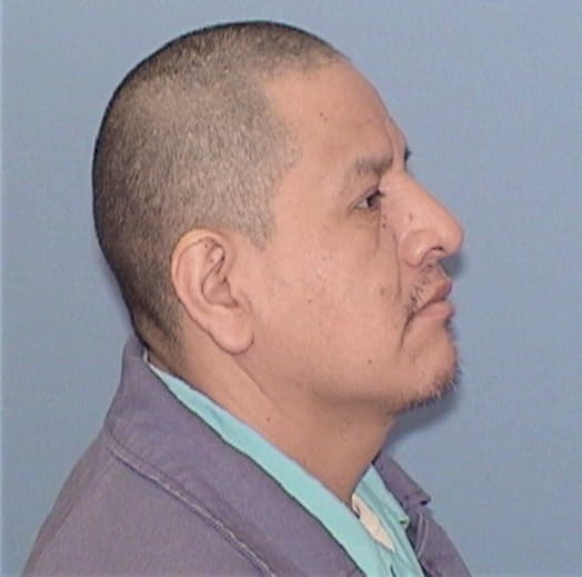 TENEMAZA, MICHAEL, Cook County  IL