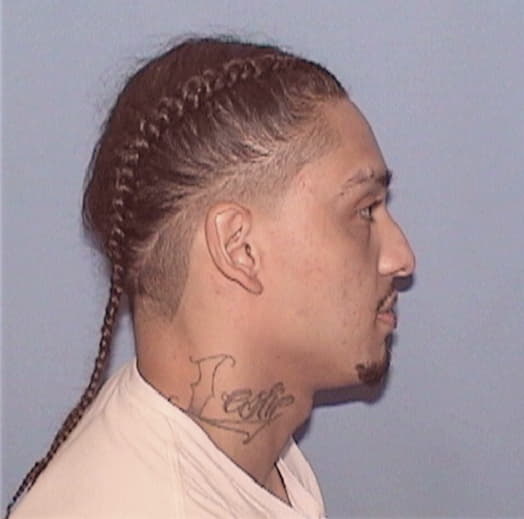 PENALOZA, NENO, Cook County  IL