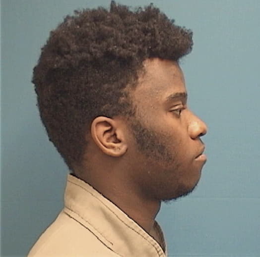 MINTZ, TAURIAL, Cook County  IL
