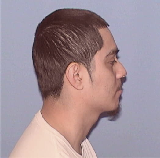 OCAMPO, FABIAN, Cook County  IL