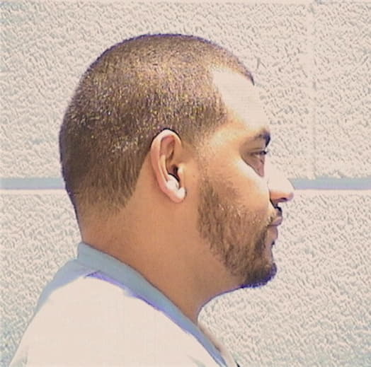 MARTINEZ, RICARDO, Kane County  IL